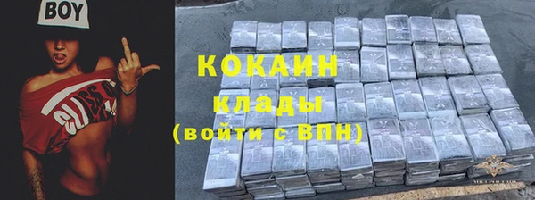 гидра Белоозёрский