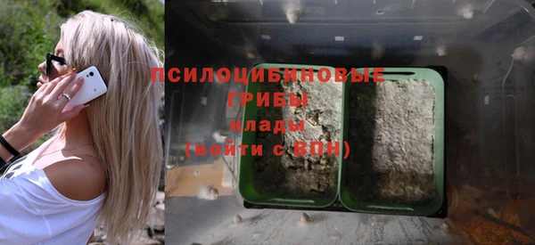 гидра Белоозёрский