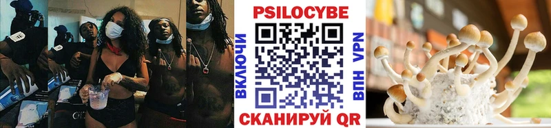 Галлюциногенные грибы Magic Shrooms  Купить  Дивногорск 